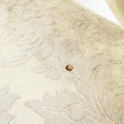 Medinis šviesus krėslas su kreminės spalvos gobelenu 62x60x87 cm, 46 cm