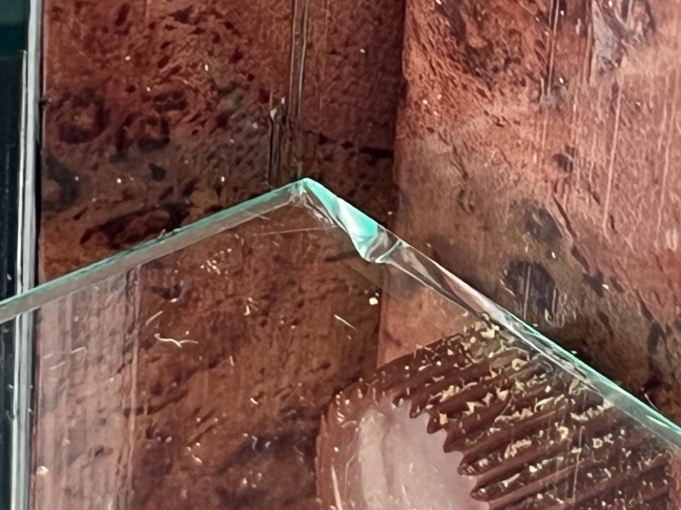 DP0189-vitrinos-15 Itališka vitrina su apšvietimu ir ratukais 40,5×40,5×162,5 cm