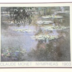 Claude Monet darbo Nymphéas printas metaliniame rėme su stiklu 3x105x87 cm