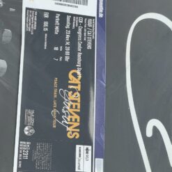 Cat Stevens Peace Train… Late Again Tour plakatas su bilietu 2x61x81 cm