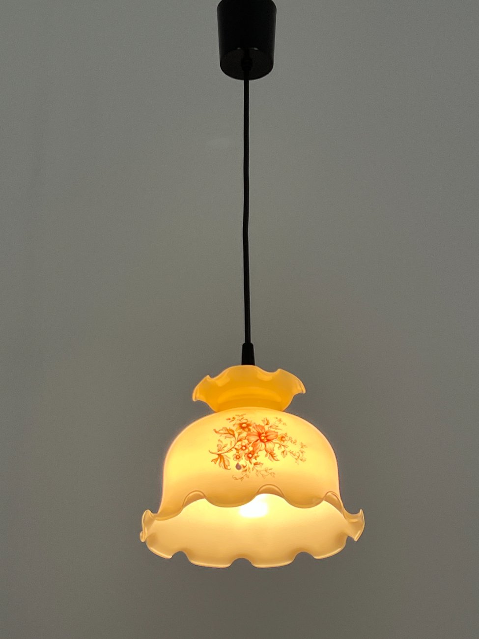 HN1537-pakabinami-sviestuvai-6 Pakabinamas šviestuvas stikliniu gaubtu su gėlių raštais 20x20x65 cm