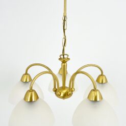 Paul Neuhaus penkių šakų pakabinamas sietynas stiklo gaubtais 53x53x51 cm