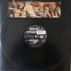 Fake Divine - 1997 - Egyptian Reggae [Maxi]