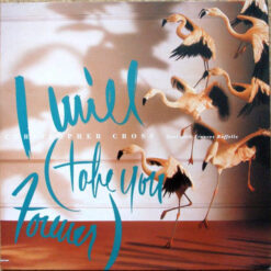 Christopher CrossDuet With Frances Ruffelle - 1988 - I Will (Take You Forever) [Maxi]