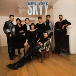 Skyy - 1989 - Start Of A Romance