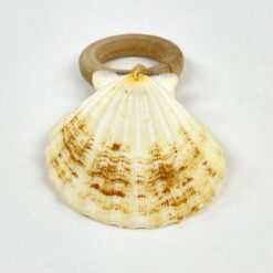 Dekoratyvinė kriauklė ant medinio padėkliuko 8,5x7,5x1 cm