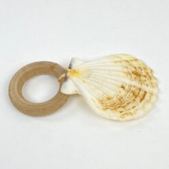 Dekoratyvinė kriauklė ant medinio padėkliuko 8,5×7,5×1 cm