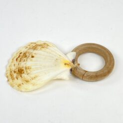 Dekoratyvinė kriauklė ant medinio padėkliuko 8,5×7,5×1 cm