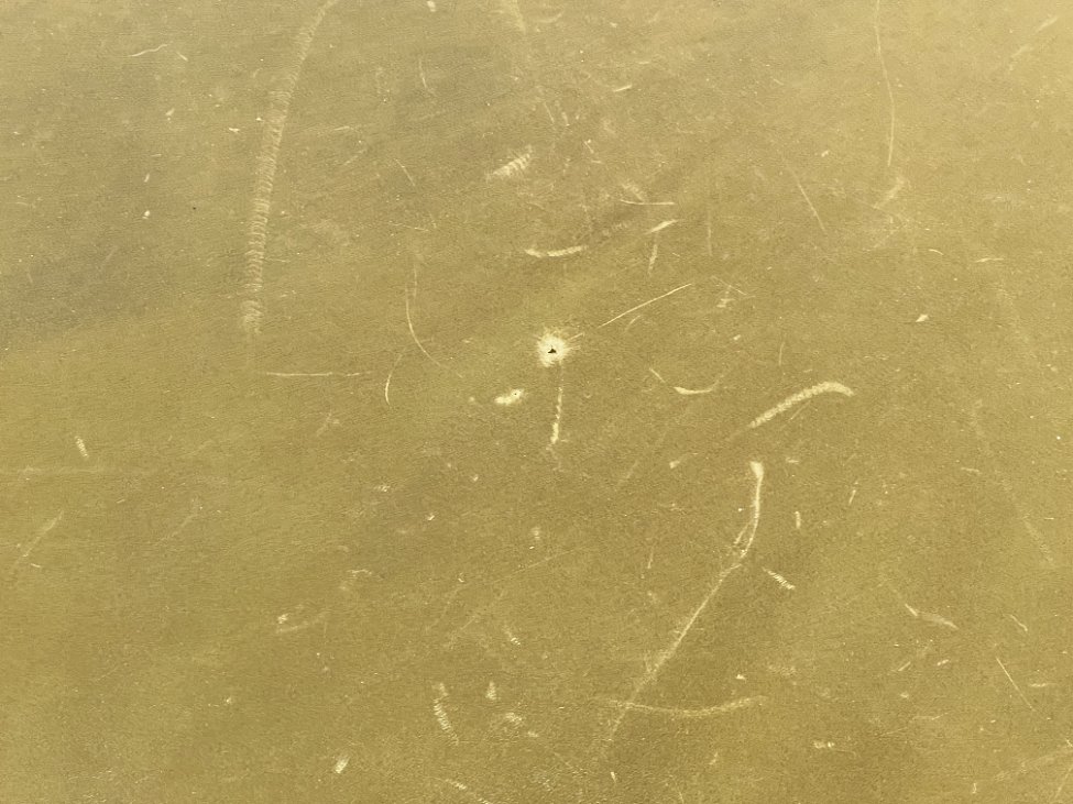 DP0317-stalai-9 Apvalus riešutmedžio staliukas odiniu stalviršiumi 107x107x74 cm