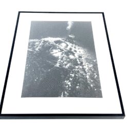 Printas metaliniame rėme 2×33,5×43,5 cm