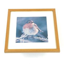 Paukščio fotografija rėme 11×19,5×19,5 cm