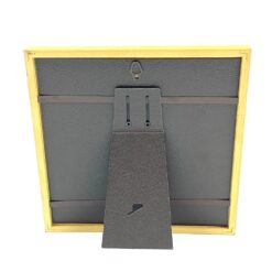 Paukščio fotografija rėme 11×19,5×19,5 cm