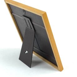 Paukščio fotografija rėme 11×19,5×19,5 cm