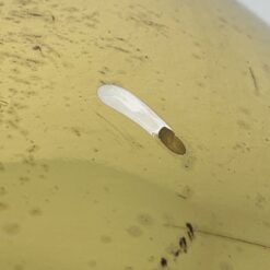 Žalvarinis pakabinamas Kaiser Leuchten šviestuvas su kutais 40x40x106 cm