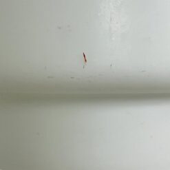 Mid Century Sölken Leuchten pakabinamas šviestuvas stiklo gaubtu 12x12x48 cm