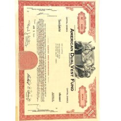 American Dual Vest Fund 100 vnt. akcijų sertifikatas 0,1×30,5×20,5 cm