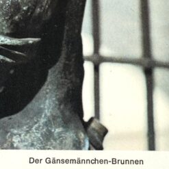 Mediniame rėme su stiklu įrėminta nuotrauka “Der Gänsemännchenbrunnen” 2×28,5×28,5 cm