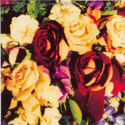 Dave Stewart And The Spiritual Cowboys - 1991 - Honest