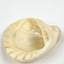 Jurinė moliusko kriauklė 6,5×6,5×2,5 cm