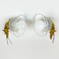 Žalvariniai sieniniai šviestuvai stiklo gaubtais 2 vnt. kompl. 16x14x25 cm