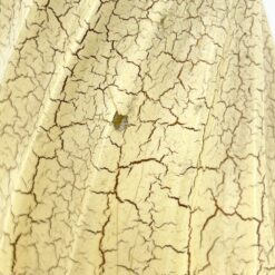 Balta, sendinta, raižyta kolona 30x30x70 cm