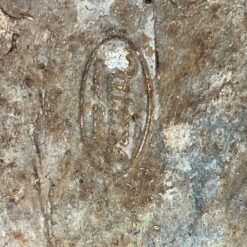 Bronzinė berniuko su aitvaru ir šuniu statula 75x125x142,5 cm