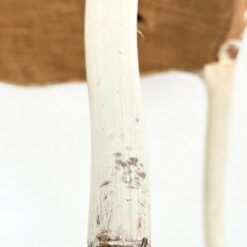 Provanso stiliaus medinis krėslas su augalų motyvų gobelenu 61x58x87 cm, 46 cm