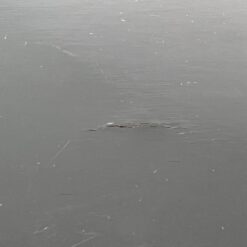 Rytietiška juodos spalvos dviejų durų ir penkių stalčių komoda 43x53x135,5 cm