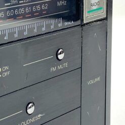 Panasonic GX80 radijo imtuvas 8x29x16 cm