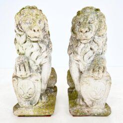 Sėdinčių liūtų statulos iš betono 2 vnt. komplektas 43x23x56 cm