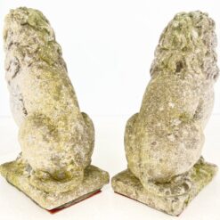 Sėdinčių liūtų statulos iš betono 2 vnt. komplektas 43x23x56 cm