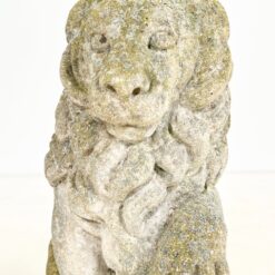 Sėdinčių liūtų statulos iš betono 2 vnt. komplektas 43x23x56 cm