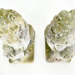 Sėdinčių liūtų statulos iš betono 2 vnt. komplektas 43x23x56 cm