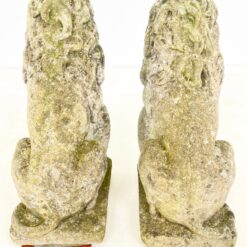 Sėdinčių liūtų statulos iš betono 2 vnt. komplektas 43x23x56 cm