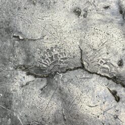 Dekoratyvinė alavinė lėkštė 24,5x24x2 cm