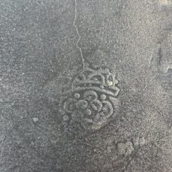 Alavinė lėkštė 31,5×31,5×2,5 cm