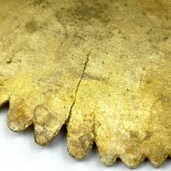 Art Nouveau stiliaus vėduoklės formos žalvarinė lėkštelė 12,5x16x2 cm