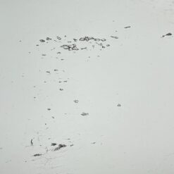 Pakabinamas veidrodis gėlių motyvais drožinėtame riešutmedžio rėme 4x88x77 cm