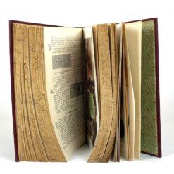 Emanuel Müller-Baden knyga vokiečių kalba “Hand-Bibliothek des allgemeinen und praktischen Wissens” 7×20,5×26,5 cm