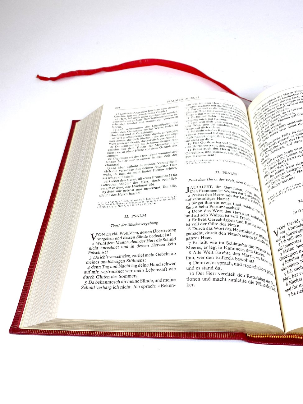 HN2091-knygos-13 Leidyklos Mengis & Sticher Šventasis Raštas vokiečių kalba “Die Heilige Schrift” 9x23x30 cm