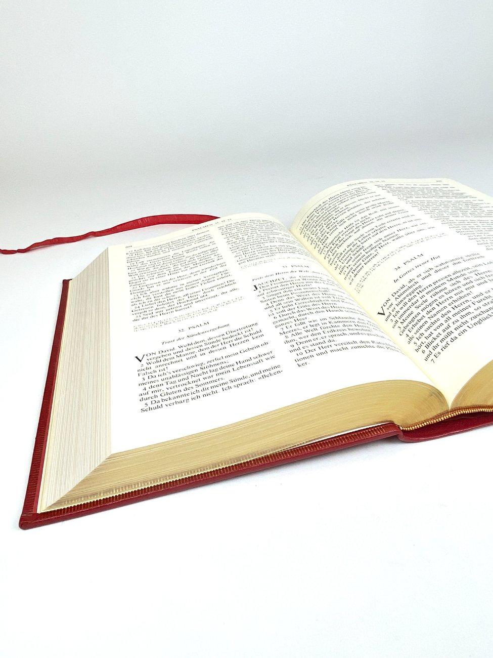 HN2091-knygos-14 Leidyklos Mengis & Sticher Šventasis Raštas vokiečių kalba “Die Heilige Schrift” 9x23x30 cm