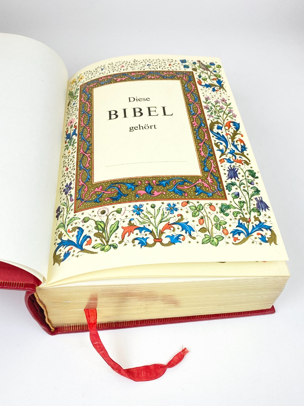 HN2091-knygos-5 Leidyklos Mengis & Sticher Šventasis Raštas vokiečių kalba “Die Heilige Schrift” 9x23x30 cm