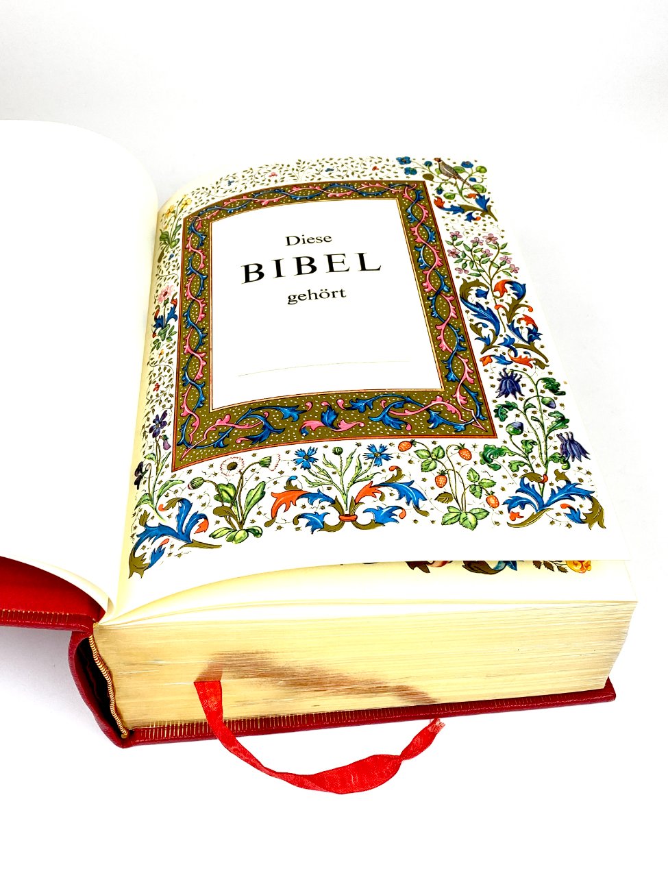 HN2091-knygos-6 Leidyklos Mengis & Sticher Šventasis Raštas vokiečių kalba “Die Heilige Schrift” 9x23x30 cm