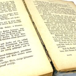 Henriette Davidis knyga vokiečių kalba Praktisches Kochbuch 5,5x16x22 cm