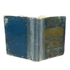 Henriette Davidis knyga vokiečių kalba Praktisches Kochbuch 5,5x16x22 cm