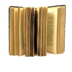 Henriette Davidis knyga vokiečių kalba Praktisches Kochbuch 5,5x16x22 cm