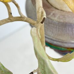 Pakabinamas trijų šakų sietynas su vaisių figūrėlėmis 50x50x70 cm