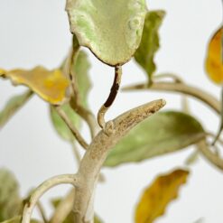 Pakabinamas trijų šakų sietynas su vaisių figūrėlėmis 50x50x70 cm