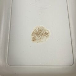 Vintažinis Grundig GDM 12 mikrofonas su originalia dėžute