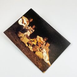 ABBA Greatest Hits 1976 m. natų knyga 0,5x21x30 cm